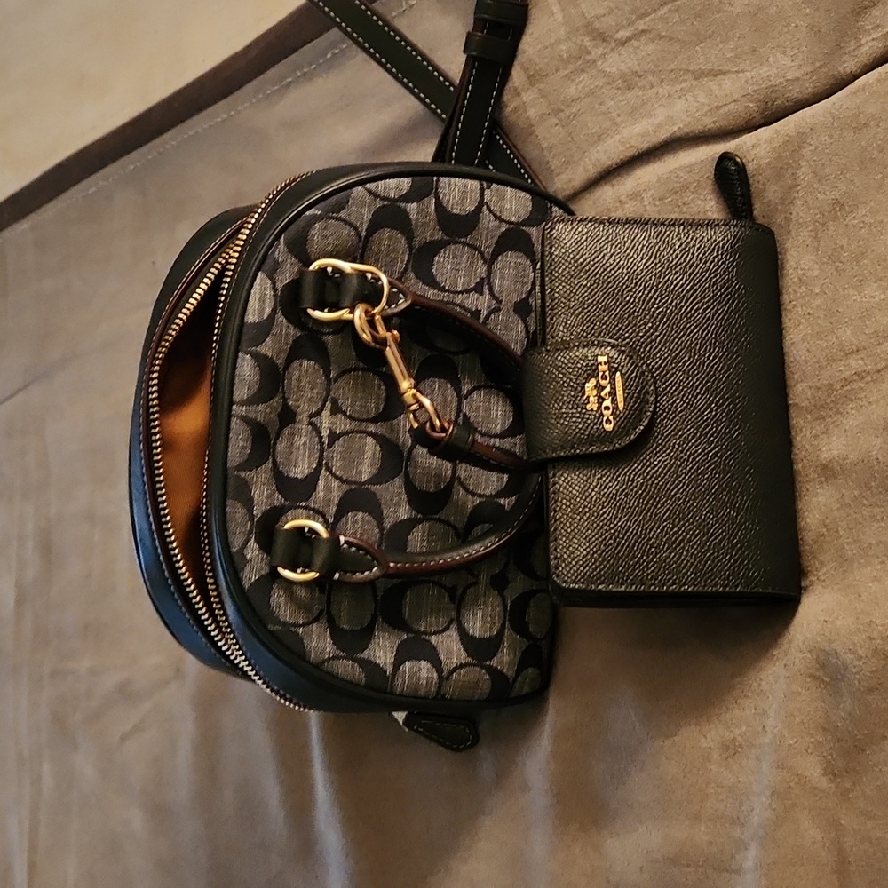 Crossbody purse and wallet